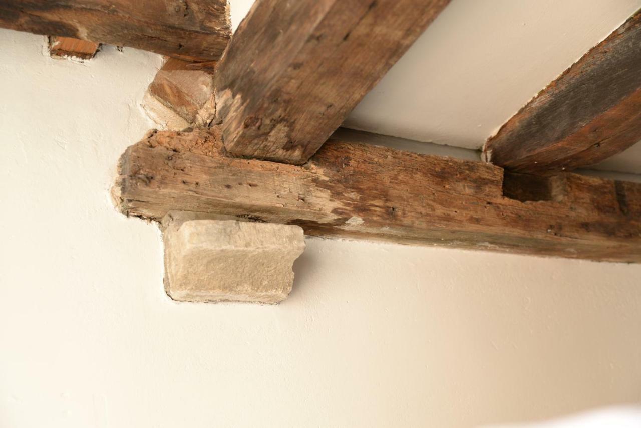 Huize Amoras Αμβέρσα Εξωτερικό φωτογραφία